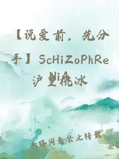 【说爱前,先分手】ScHiZoPhReNiA