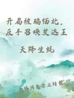 开局被骗缅北，反手召唤艾达王